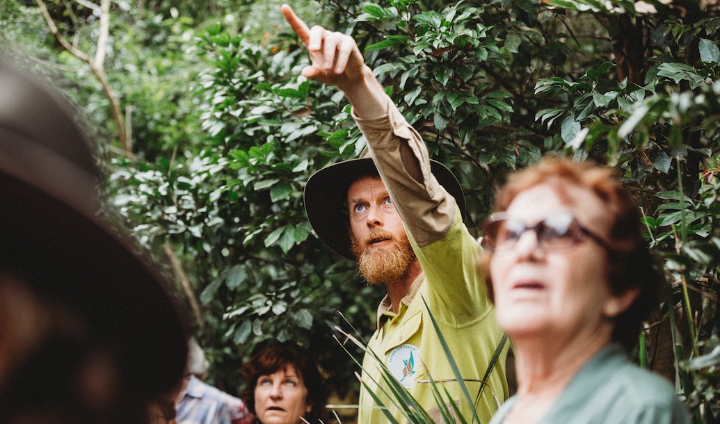 Justin Mallee NPWS in the Big Scrub Rainforest