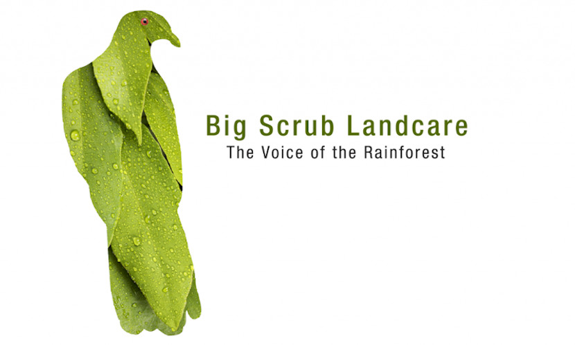 Big Scrub Landcare Logo