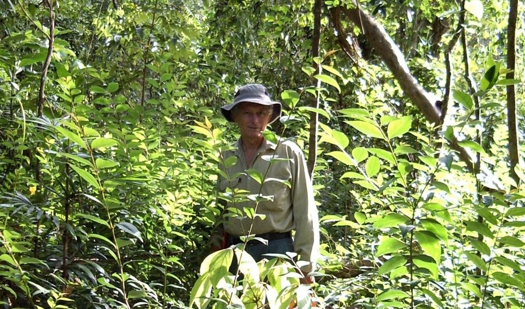 Vale Julian Lymburner, bush regenerator and pioneering member of Big Scrub Landcare
