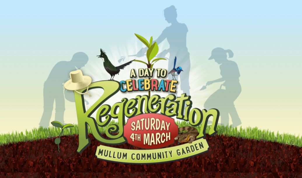 Propagation, Regeneration, Celebration: New festival to celebrate regeneration of the region